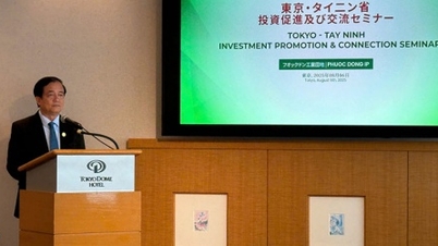 Tay Ninh a organisé avec succès l'atelier de promotion et de connexion des investissements à Tokyo