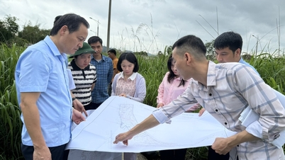 Đông Kinh đẩy nhanh giải phóng mặt bằng