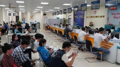 Cắt giảm nhiều thủ tục hành chính về nông nghiệp và môi trường