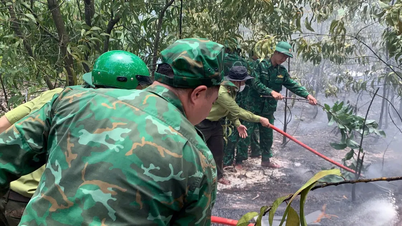 Kịp thời dặp tắt vụ cháy rừng tại TP Huế