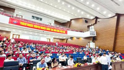 Khai mạc Hội nghị tập huấn, bồi dưỡng nghiệp vụ công tác văn hóa, thể thao