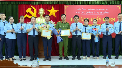 Gia Lai: Khen thưởng đột xuất 3 tập thể, cá nhân về công tác chống buôn lậu, gian lận thương mại