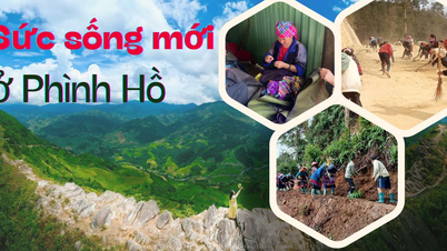 Sức sống mới ở Phình Hồ