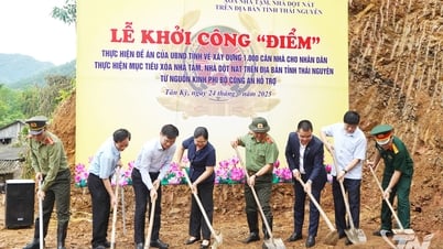 Dựng mái ấm, vun nghĩa tình