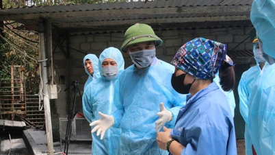 10 đoàn công tác của Bộ Nông nghiệp về địa phương tháo gỡ khó khăn mô hình chính quyền 2 cấp