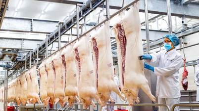 Hà Nội lập khu giết mổ heo tập trung
