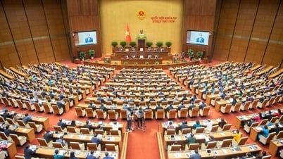 Trình Quốc hội sửa đổi Luật Thuế thu nhập cá nhân tại Kỳ họp thứ 10