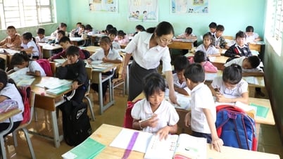 Đắk Lắk thiếu gần 700 biên chế giáo viên, nhân viên trước thềm năm học mới