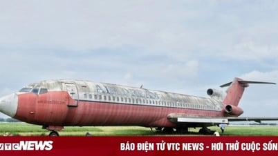 Máy bay Boeing bị bỏ rơi 18 năm ở Nội Bài được đề xuất giao làm giáo cụ