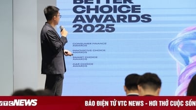 Tài chính số - hạng mục chiến lược Better Choice Awards 2025