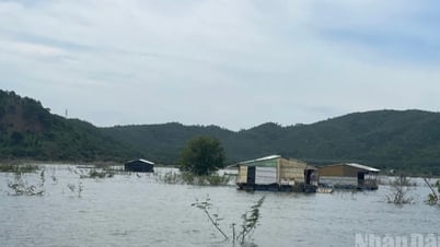 Lâm Đồng: Người đứng đầu chịu trách nhiệm về hành vi lấn...