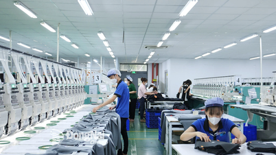 Đẩy nhanh đa dạng hóa thị trường xuất khẩu