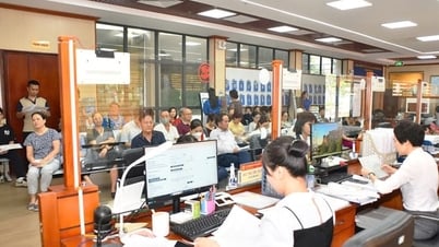 Chính quyền cấp cơ sở:
