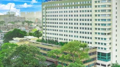 Bệnh viện phải là môi trường 'chữa lành' với người bệnh