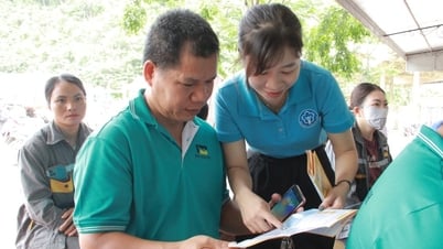 Lan toả chính sách bảo hiểm