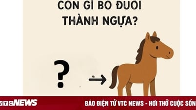 Câu đố tiếng Việt: Con gì bỏ đuôi thành con ngựa?