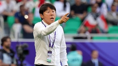 HLV Shin Tae Yong rời ghế phó chủ tịch Liên đoàn Bóng đá Hàn Quốc