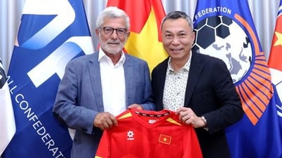 Ông Calisto trở lại Việt Nam