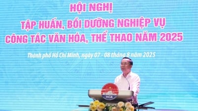 TP.HCM: 40% chuyên viên văn hóa, xã hội chưa có trải nghiệm với ngành được giao