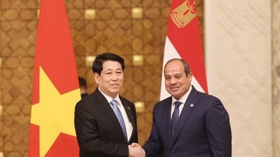 Việt Nam và Ai Cập nâng cấp quan hệ lên Đối tác toàn diện