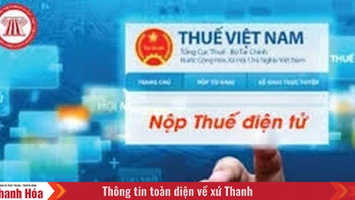Triển khai 4 phương thức nộp thuế điện tử mới từ ngày 7/8