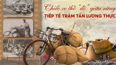Cách người Việt biến xe đạp thành "xương sống" hậu cần trận Điện Biên Phủ