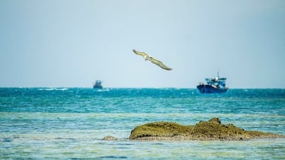 3 điểm đến hoang sơ ở Khánh Hòa cho chuyến đổi gió cuối tuần