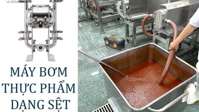 Bơm thực phẩm dạng sệt là gì? TOP 10 Bơm thực phẩm dạng sệt bán chạy tại Phong Vũ Pump