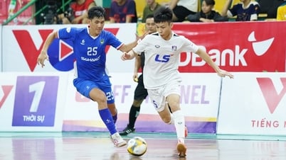 Kết quả và bảng xếp hạng mới nhất tại Giải Futsal Cúp Quốc gia 2025