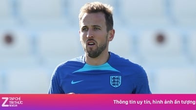 Harry Kane tham vấn cho một Việt kiều tới V.League
