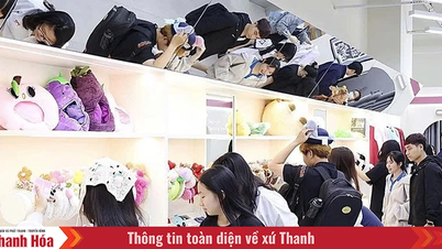 Lối đi riêng của nhiều startup trẻ ở Thanh Hóa