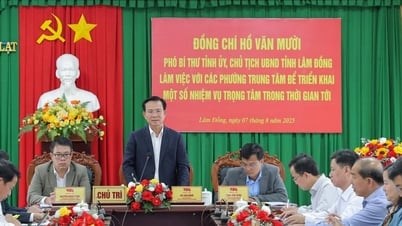 Triển khai nhiệm vụ trọng tâm phát triển vùng lõi của 3 khu vực ngàn hoa, biển xanh và đại ngàn