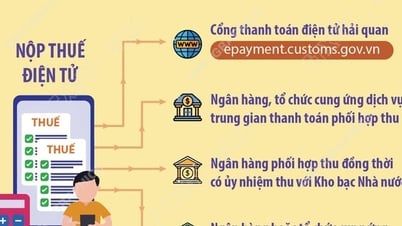 Phương thức nộp thuế điện tử từ 7-8-2025