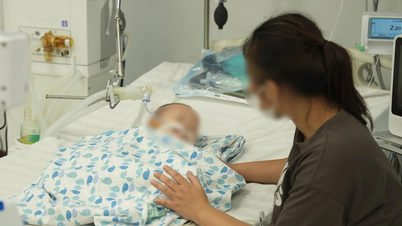 Uống phải tinh dầu đuổi muỗi, một bé trai ở Hà Nội nguy kịch
