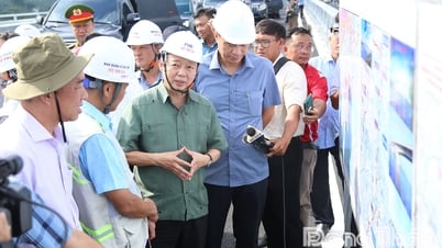 Phó Thủ tướng Trần Hồng Hà kiểm tra công trình cầu Rạch Miễu 2