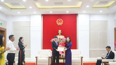 Quảng Ninh thưởng 400 triệu đồng cho nam sinh đoạt Huy chương Quốc tế