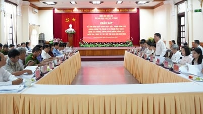 Huế giảm mạnh tội phạm, kiến nghị hoàn thiện pháp luật tư pháp