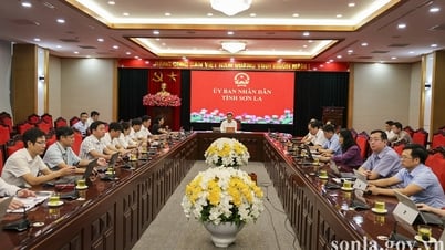Phiên họp Chính phủ thường kỳ tháng 7 năm 2025