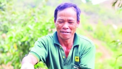 Kiểm soát chất lượng vùng trồng cây sầu riêng