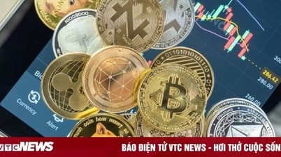 Sẽ có nhiều hơn 1 sàn giao dịch tài sản mã hóa, khuyến khích tư nhân tham gia