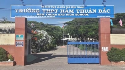 Không đủ giáo viên, học sinh bị xếp lớp trái nguyện vọng: Nhà trường nói gì?