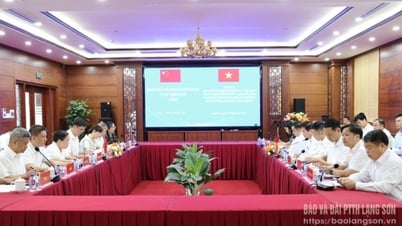 Hội đàm với Đoàn đại biểu Thị ủy Bằng Tường, Quảng Tây, Trung Quốc