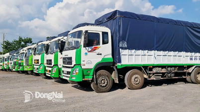 Doanh thu vận tải và dịch vụ kho bãi tăng trưởng khá