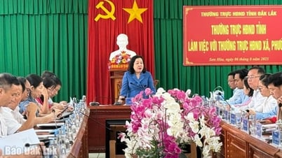 Tiếp tục kiện toàn nhân sự, bố trí cán bộ chuyên môn cấp xã phù hợp