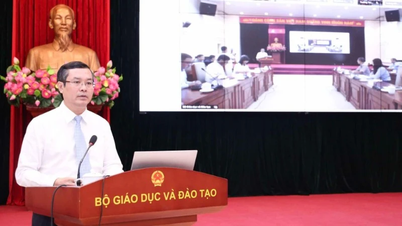 Lan tỏa phong trào thi đua đổi mới sáng tạo và bình dân học vụ số