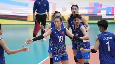 Lịch thi đấu bóng chuyền nữ U21 Việt Nam tại giải U21 thế giới 2025
