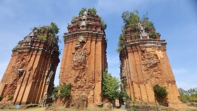 Nghiên cứu khai quật khảo cổ cụm tháp Chăm Dương Long