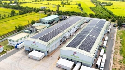 Doanh thu tăng mạnh, Nafoods Group khởi công xây dựng dự án Nasoco giai đoạn 2
