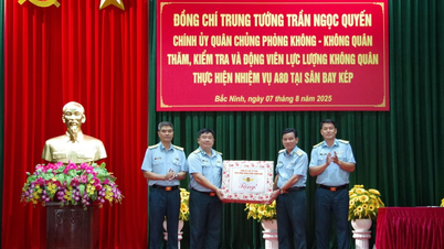 Quân chủng Phòng không - Không quân kiểm tra, động viên lực lượng không quân huấn luyện thực hiện nhiệm vụ A80