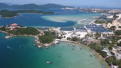 Giải thể Ban Chỉ đạo quốc gia về xây dựng các đơn vị hành chính – kinh tế đặc biệt
